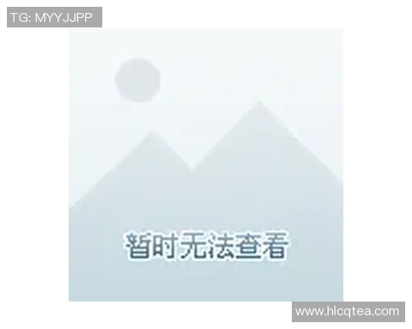 个性化定制足球明星手办价格一览表及购买指南